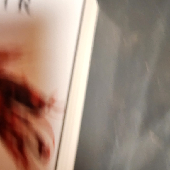 An Ember in the Ashes Book by Sabaa Tahir - Picture 5 of 10